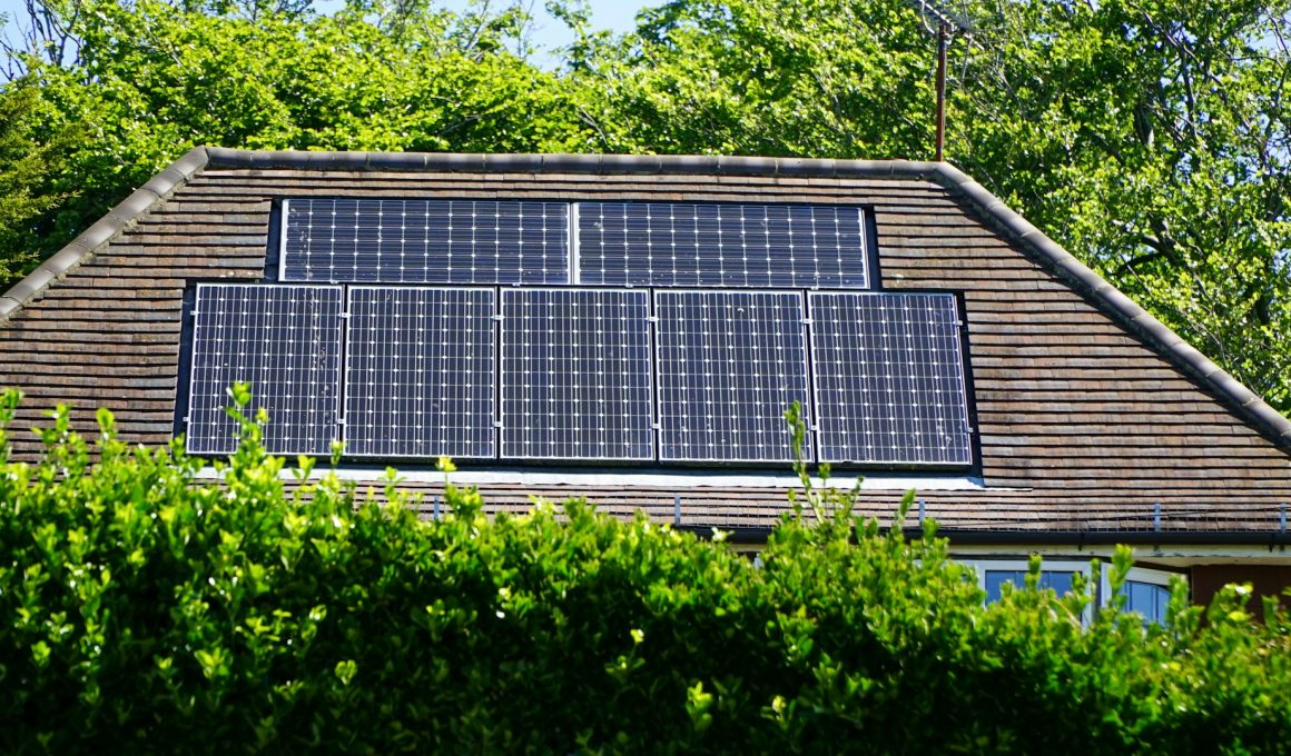 firma fotovoltaice